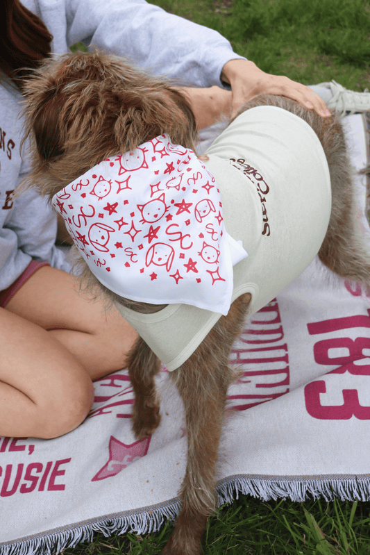 Bandanna | Stephens Doggie